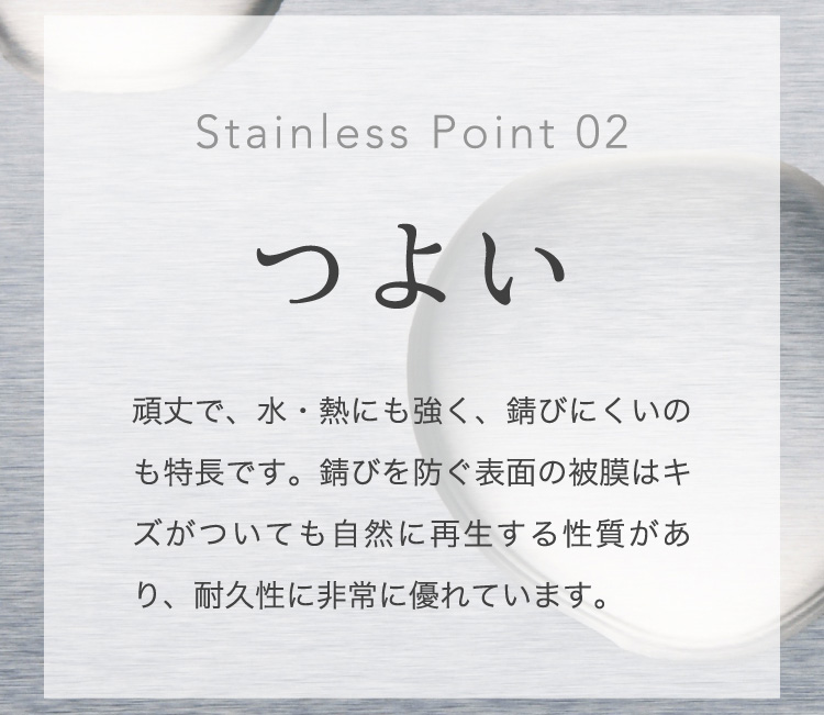 Stainless Point 02 つよい