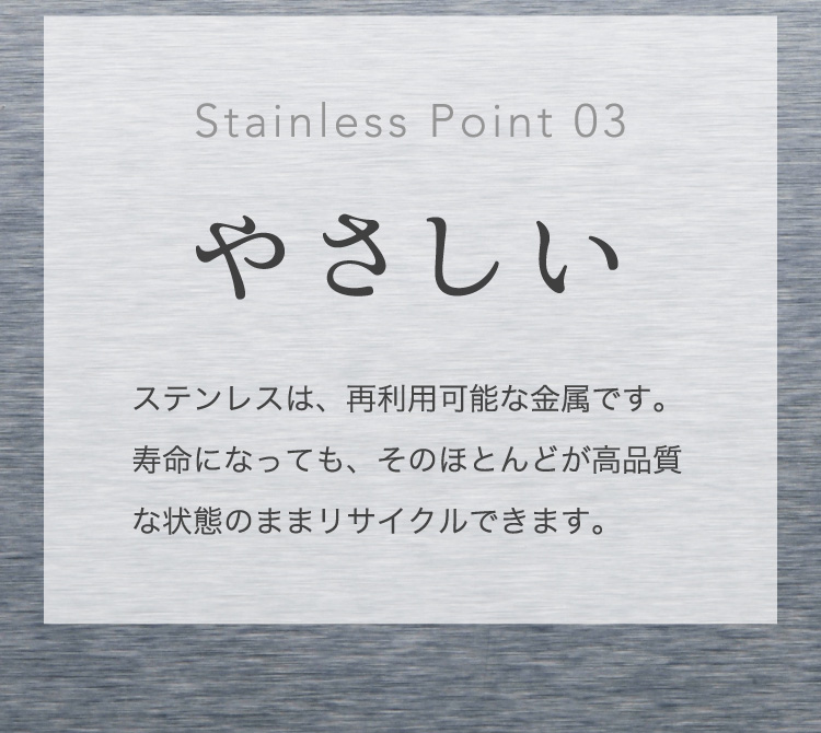 Stainless Point 03 やさしい
