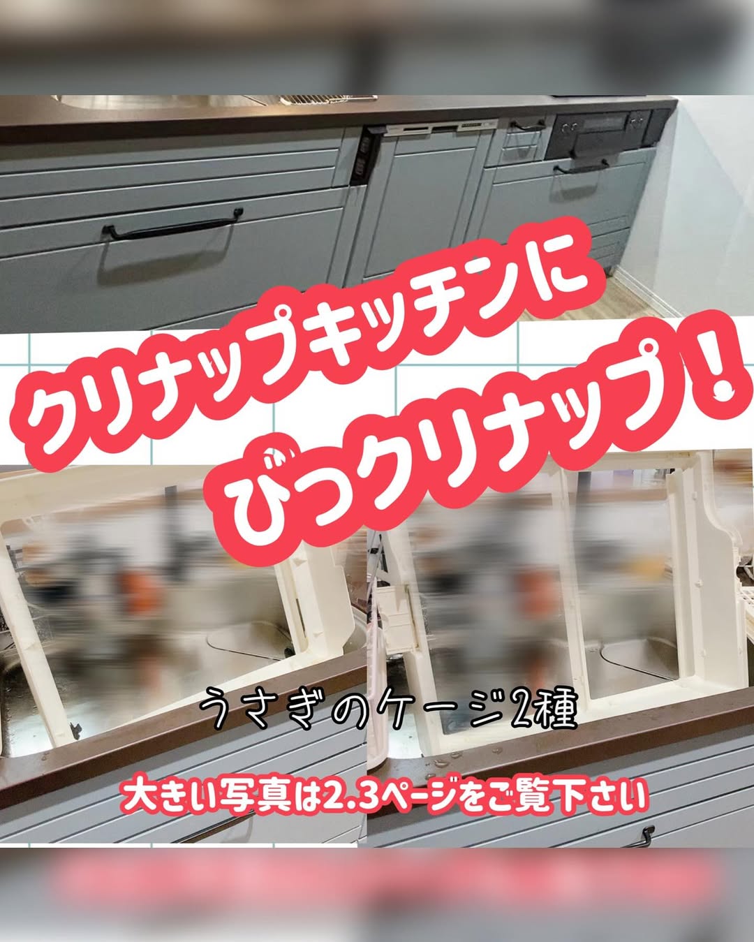 入賞画像