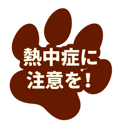 熱中症に注意を！