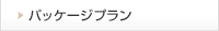 パッケージプラン