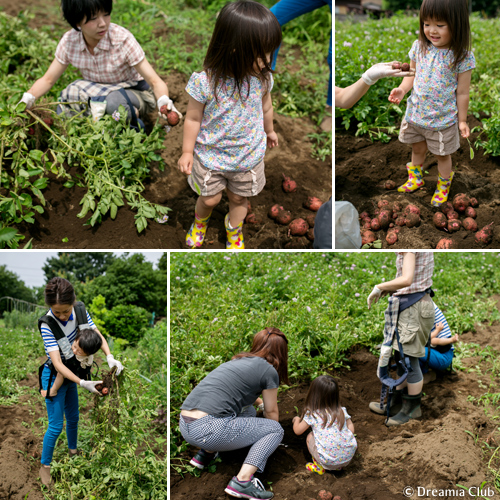 元気いっぱいの野菜とふんわり柔らかな土に触れると誰もが笑顔に。生きた食育の機会です
