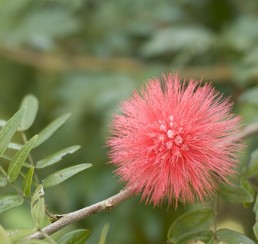 1_SSP4647.jpgのサムネール画像