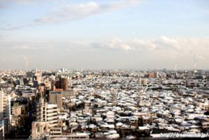 洗練された雰囲気の中、五感で学ぶフラワーレッスン