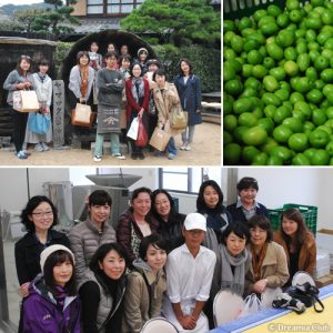 毎日食べたくなるおうちごはんを提案