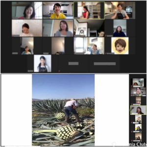 始めないことには何も始まらない