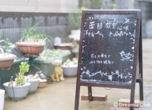 中医学を楽しく学び、体も心も健やかに