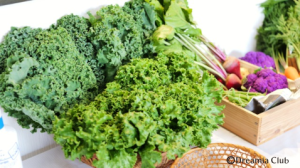 田舎で新たな人生を