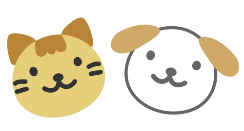 札幌犬猫手作りごはん部 Yuki