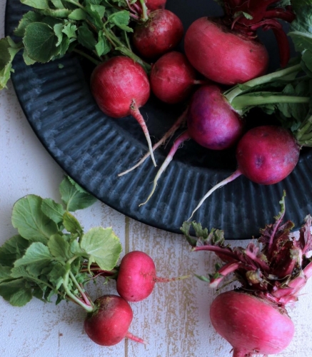 Cerbiatta 松木 菜津子