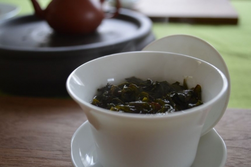 Thea sinensis 河村さなえ