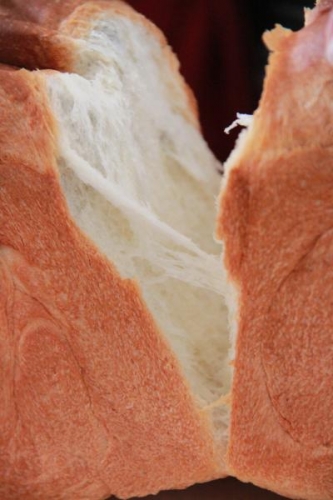 パン教室Lecker ぱんわんこ