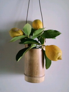 はまおか　むつこ はまおか　むつこ