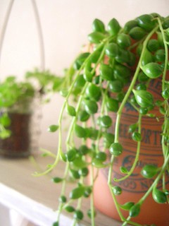 教室のイメージ