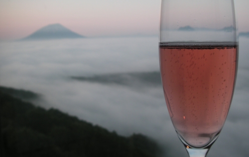 La Tavola Felice 大谷　真由実