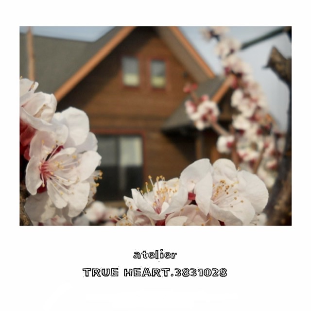 教室のイメージ