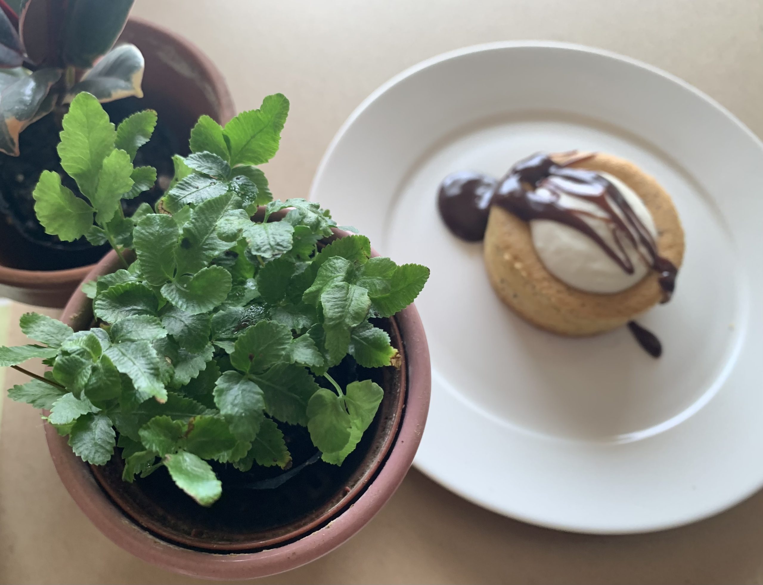 教室のイメージ