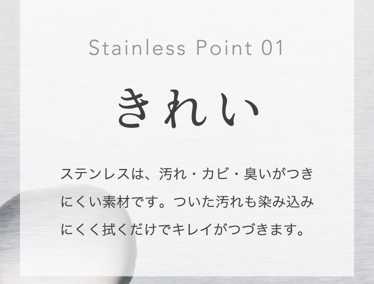 Stainless Point 01 きれい